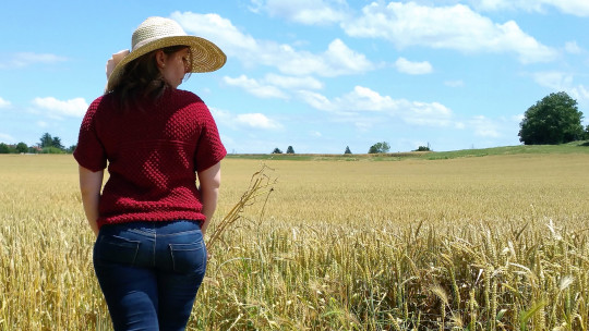Un petit pull en coton pour les beaux&nbsp;jours