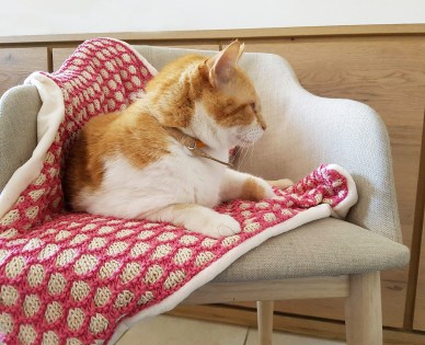 bee blanket we are knitters knit cotton malabar couverture abeille naissance chat bébé 6.jpg